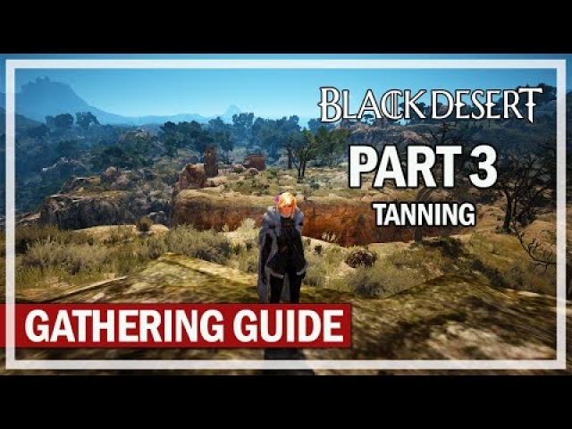 Beginner Gathering Guide Spots Episode 3 - Tanning | Black Desert