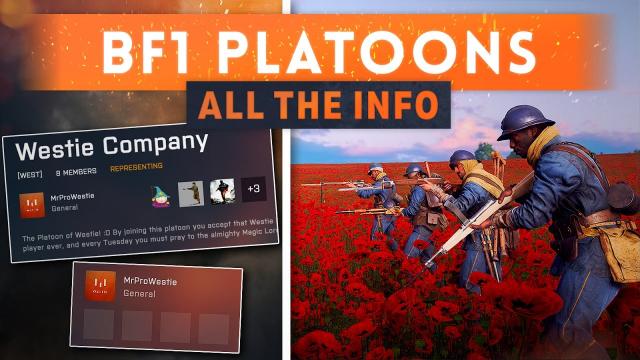 ► PLATOONS! Everything You Need To Know - Battlefield 1 (New Feature)