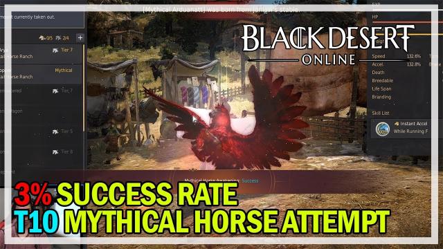 Black Desert Online - Mythical Arduanatt Horse Attempt T10