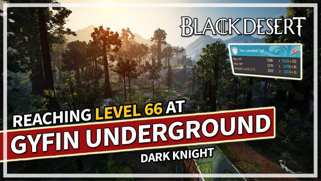 Reaching Level 66 at Underground Gyfin | Awakening Dark Knight | Black Desert