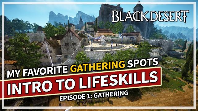 Intro to Lifeskills: Episode 1 Gathering & My Favorite Spots | Black Desert