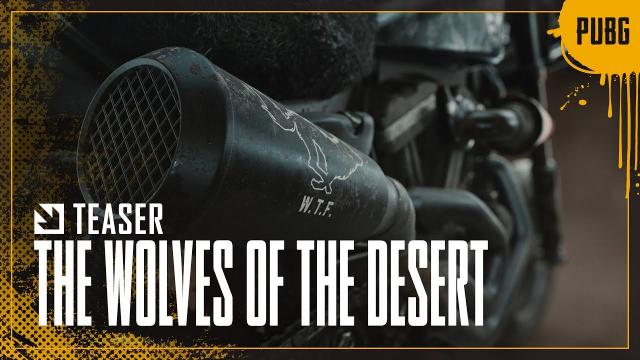 The Wolves of the Desert | PUBG