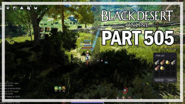 Black Desert Online - Dark Knight Let's Play Part 505 - Window Shopping
