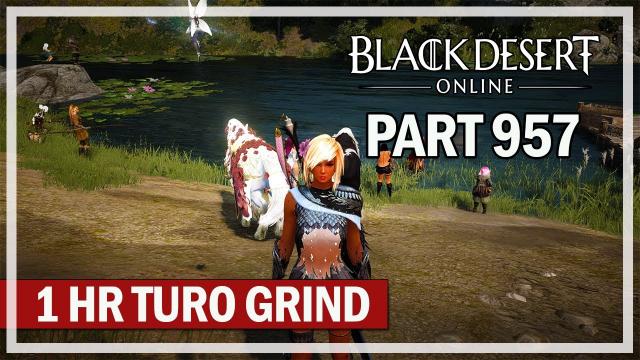 Black Desert Online - 1 Hour Turo Grind 302 AP Dark Knight