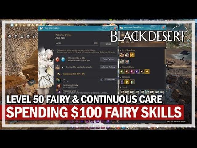 Spending $100 on Level 50 Fairy & Is Continuous Care Worth? | Black Desert
