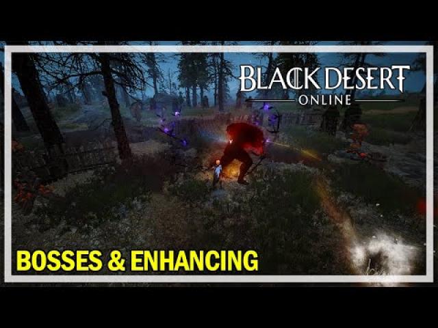 Black Desert Online - Bosses & Enhancing Dim Tree Armor