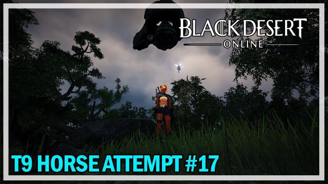 Black Desert Online - Tier 9 Horse Attempt #17 & Awakened Bosses