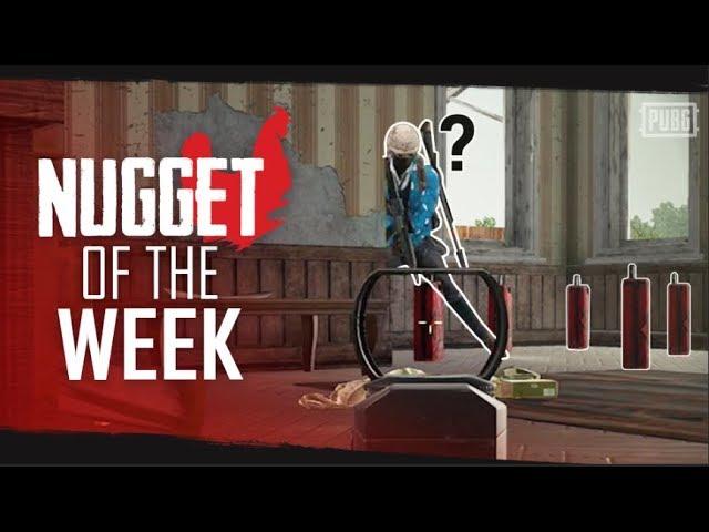 PUBG - Nugget of the Week - Episode 10